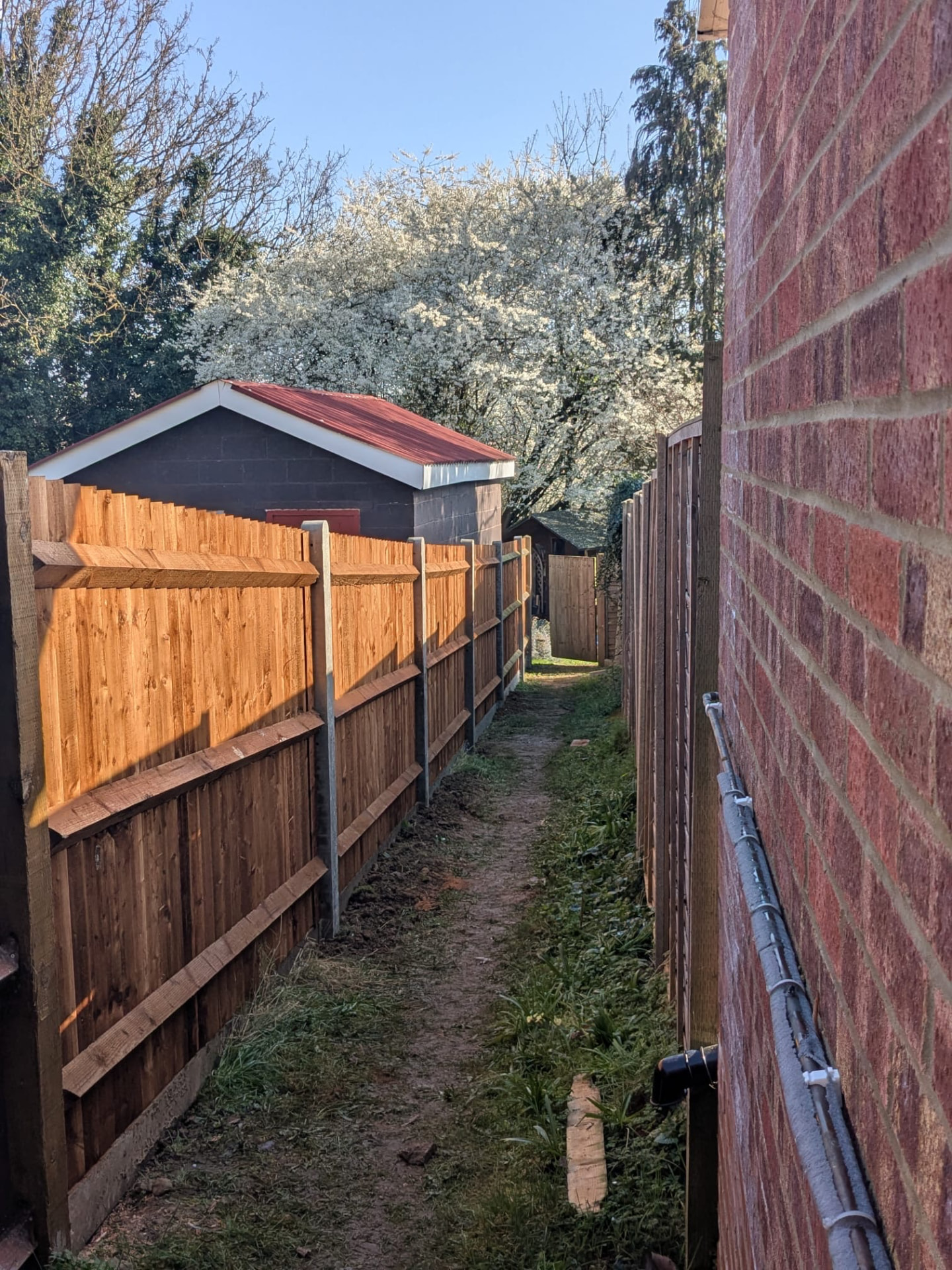 Run of new closeboard fencing along a side passage in warm evening light